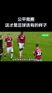 应成为