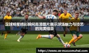 德转更新后荷甲身价前10：萨伊瓦里3200万第1，帕罗特上榜